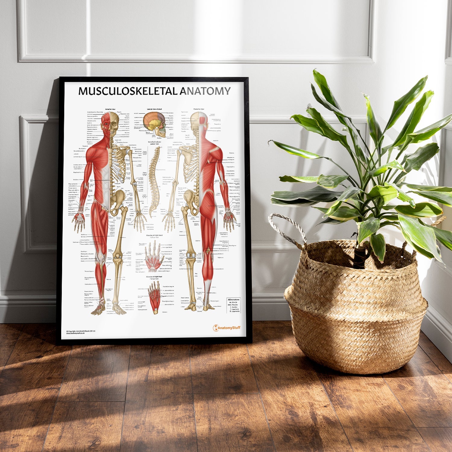 Musculoskeletal System Chart Skeleton And Muscle Anatomy Poster musculoskeletal-system-chart-skeleton-and-muscle-anatomy-poster