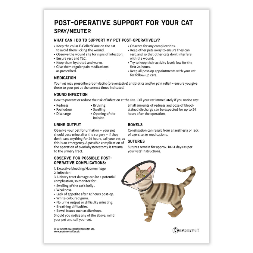Post-Operative Support for Your Cat - Spay/Neuter (Printable PDF)