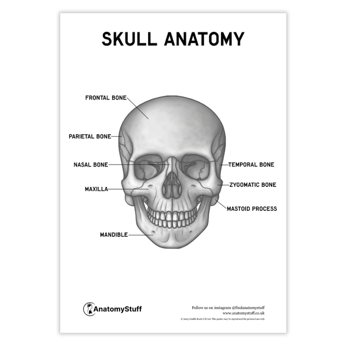 The Skull Notes.pdf Skull Anatomy PDF Poster | Neurosurgery Revision Download – AnatomyStuff