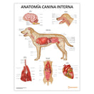 Switch Anatomía Canina Interna Chart / Poster - Spanish 1 image