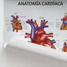 Switch Anatomía Cardíaca Chart / Poster - Spanish 3 image