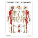 Switch Anatomia Musculoesqueletica Chart / Poster - Spanish 1 image
