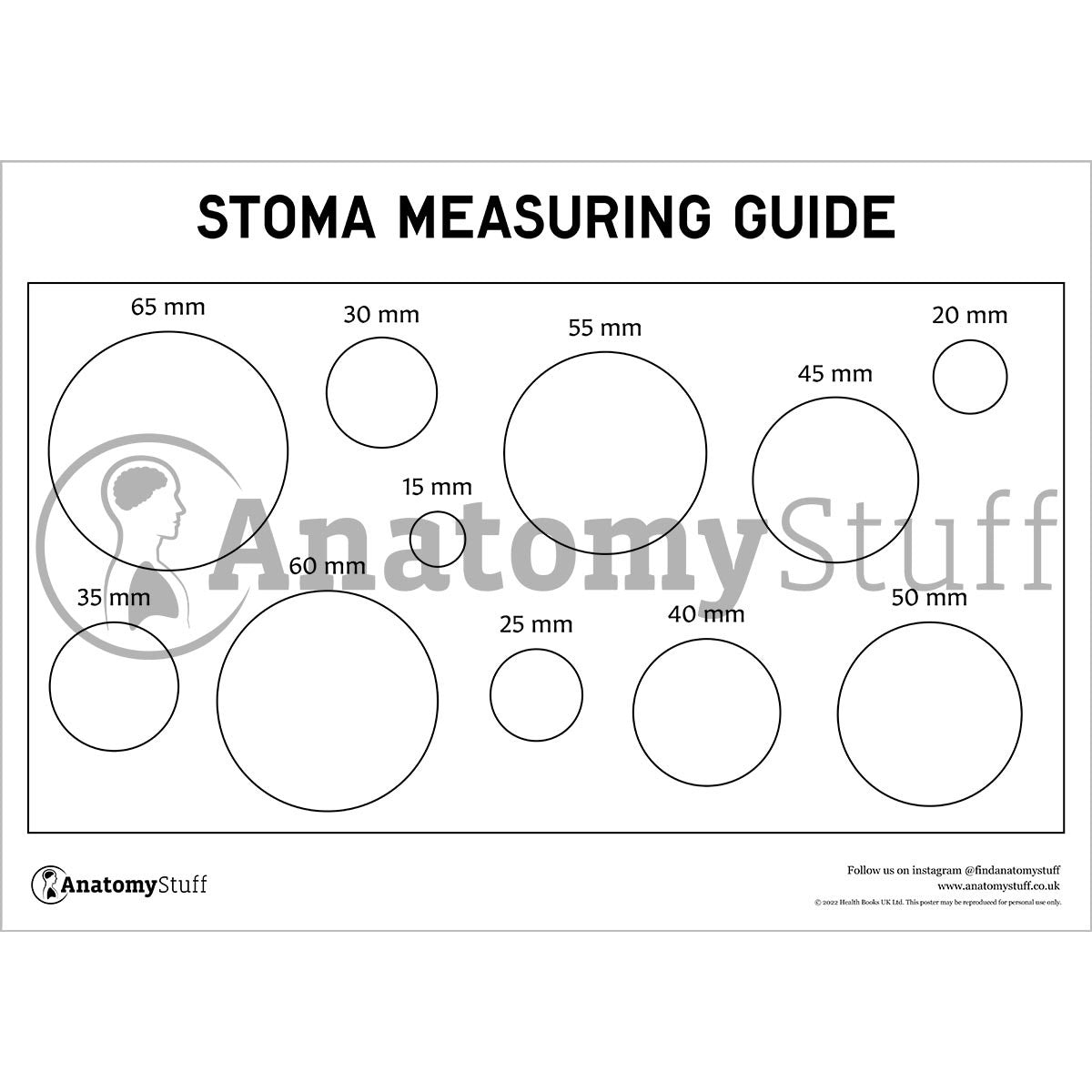 Stoma Measurement Guide PDF | Ostomy Education Tool – AnatomyStuff