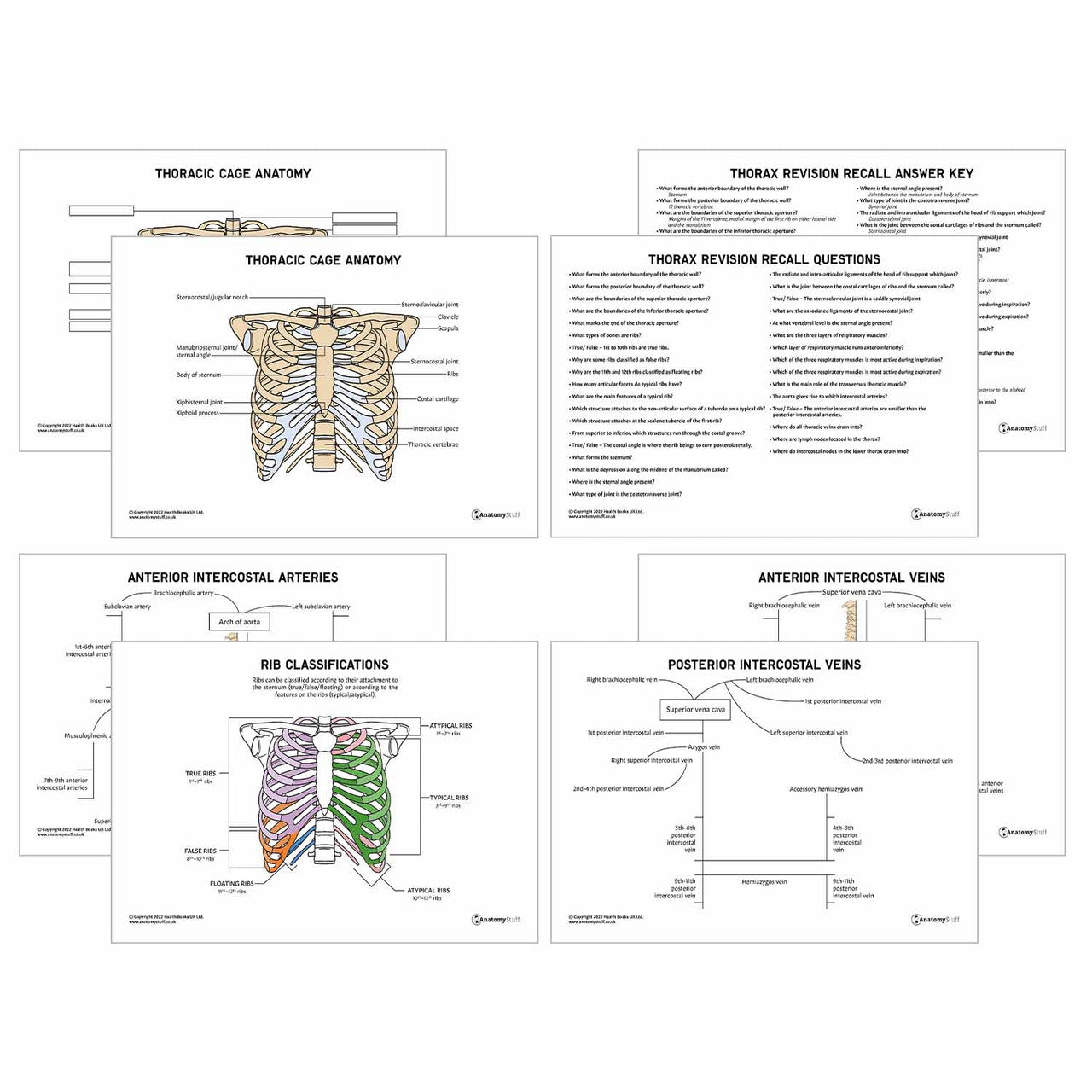 Anatomical Revision Guide for Medical Students