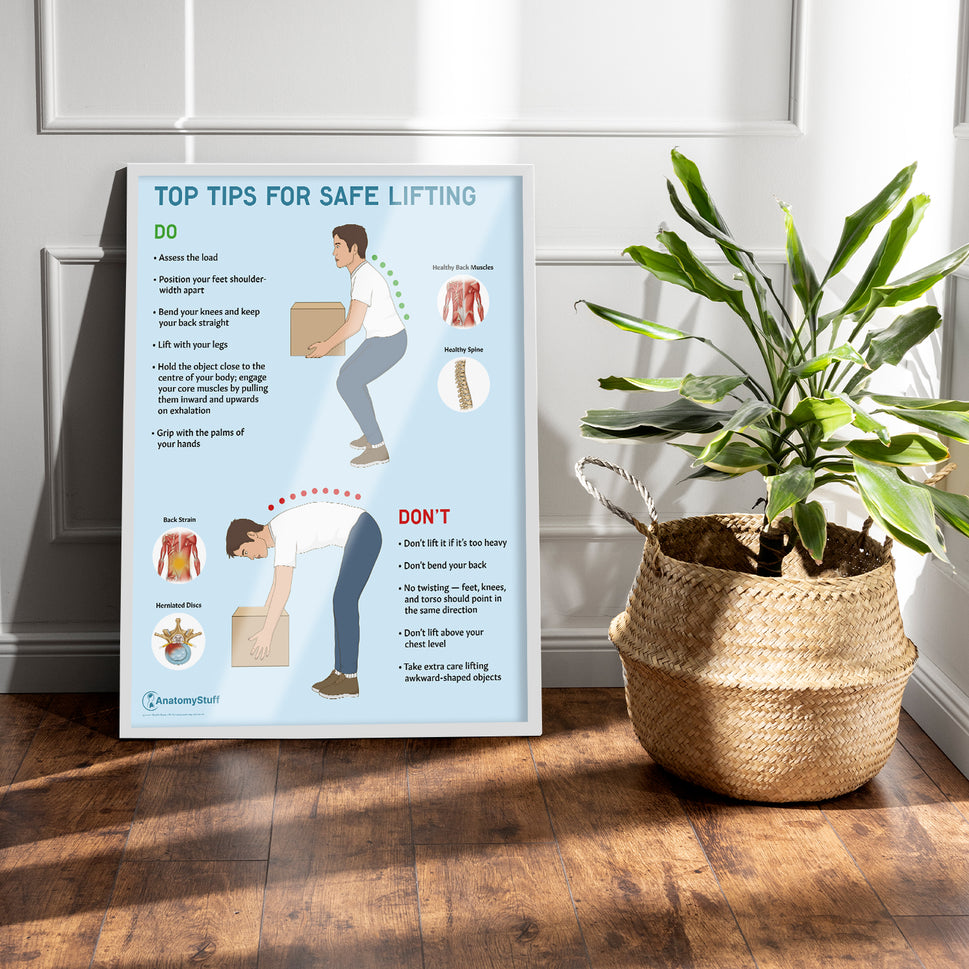Top Tips For Safe Lifting Chart / Poster