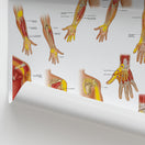 Switch Trigger Points: Upper Extremities Chart / Poster 2 image