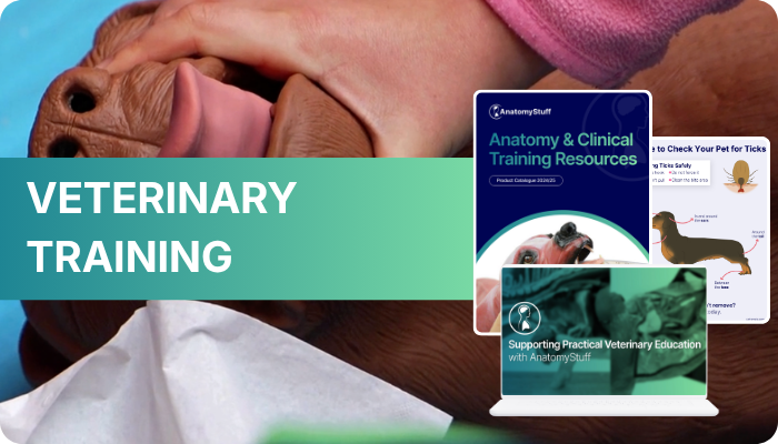 Veterinary Clinical Skills and Anatomy