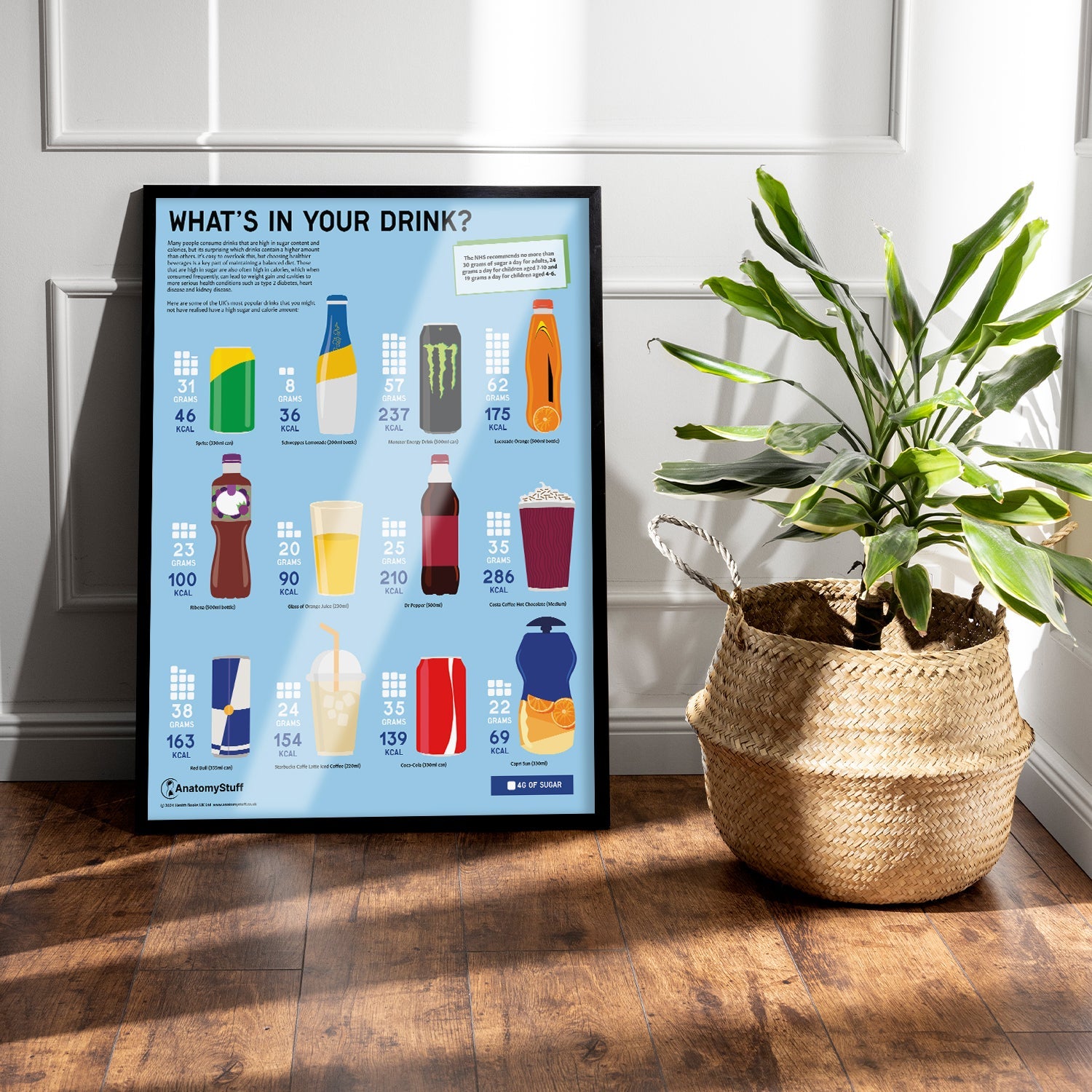 What's in your Drink? Sugar Chart / Poster